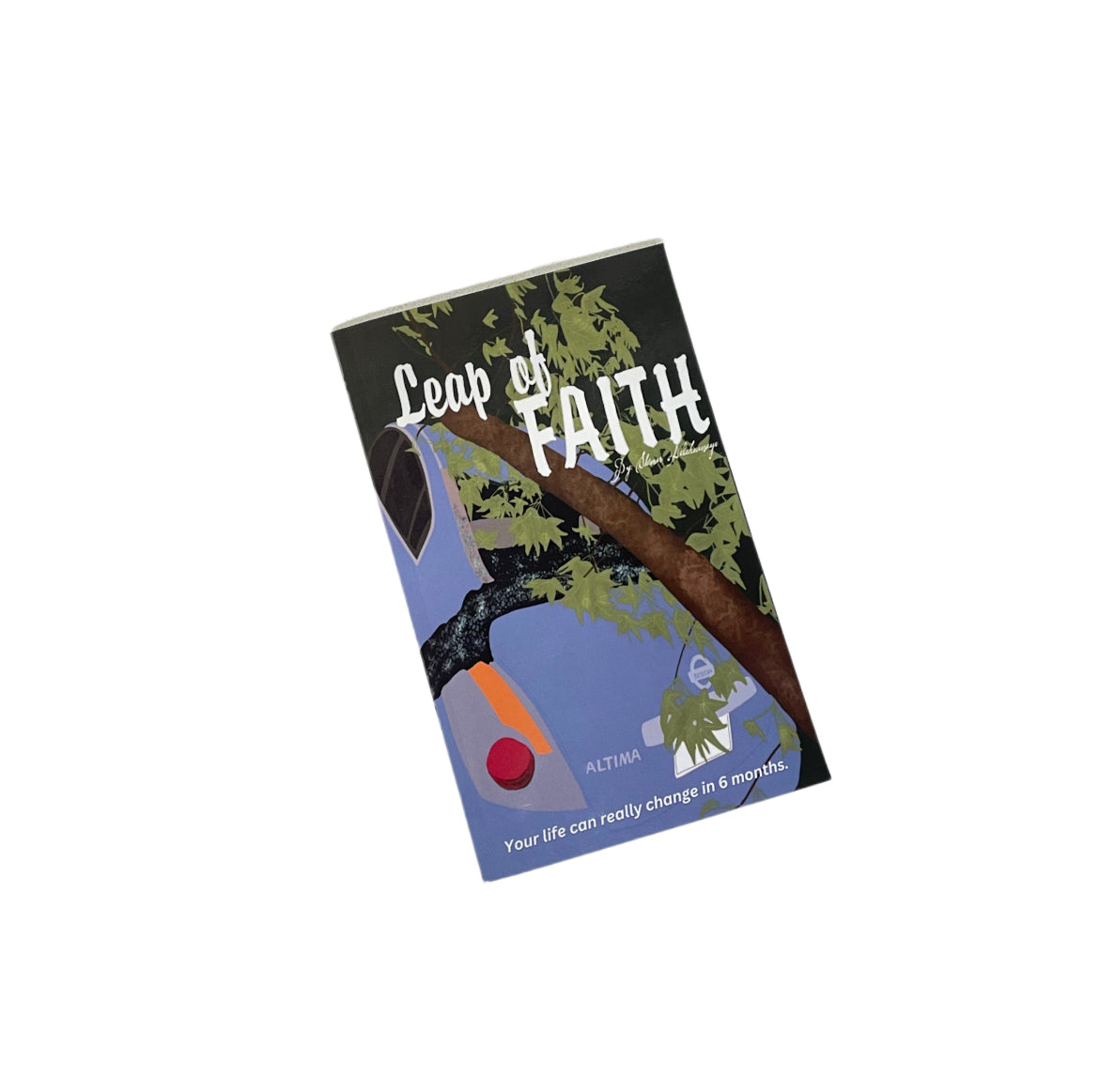 LEAP OF FAITH BOOK
